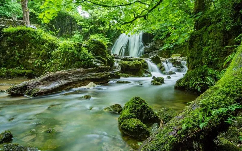 高效独特高性能